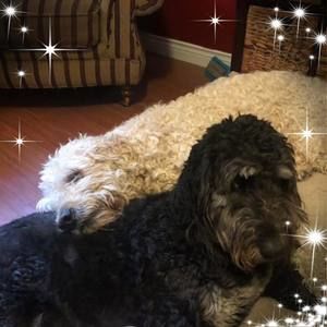 Meet your Posher, Cheryl